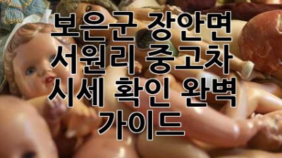 보은군 장안면 서원리 중고차 시세 확인 완벽 가이드!