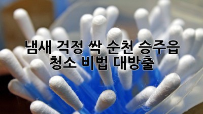 ✨ 냄새 걱정 싹! 순천 승주읍 청소 비법 대방출 🏡