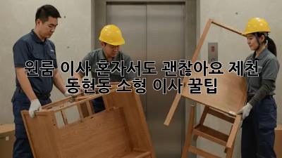 원룸 이사, 혼자서도 괜찮아요! 제천 동현동 소형 이사 꿀팁